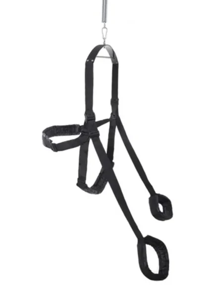 Sex Salıncağı ve Tavan Askısı