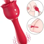 Erojen Bölge Etkili Çift Taraflı Şarjlı Vibratör